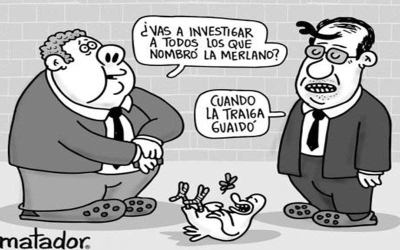  Fiscal de medio pelo