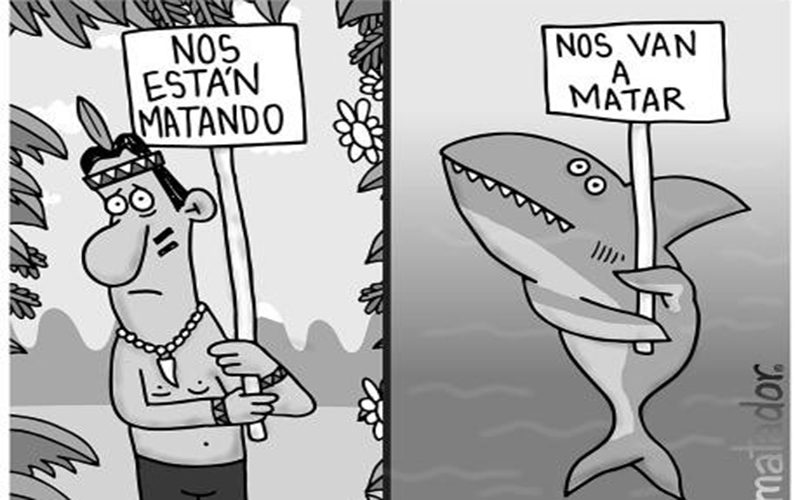  Indígenas y escualos