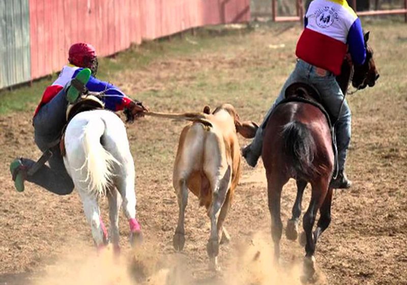  El Corrío Llanero es un homenaje a poblaciones indígenas en Vichada