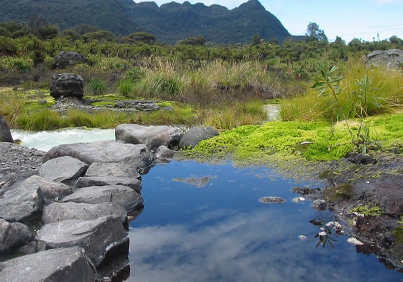  Suspenden visitas a sitios ecoturísticos