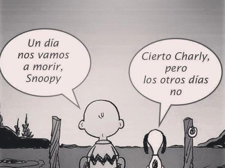  Humor
