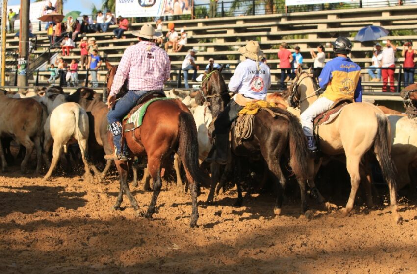  Carnaval de Mitos y Leyendas con comparsas en Festival Llanero de diciembre