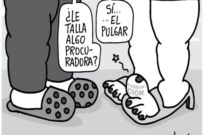  Del «cabello» a los pies