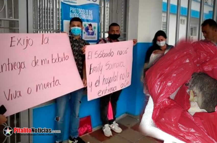  Denuncian que hospital entregó rata muerta a familia que esperaba el cuerpo de una bebé