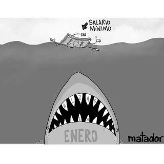  Tiburón  (El Tiempo)