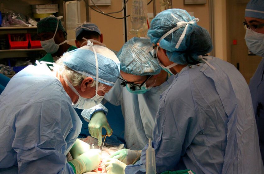  Estudio abre posibilidad de trasplantes para todos los tipos de sangre