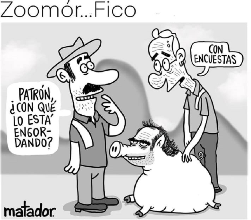  ZOOMORFICO…..MATADOR