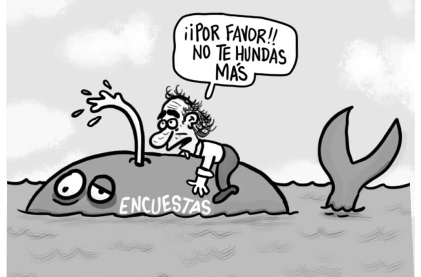  la Remontada de Fajardo (Matador)