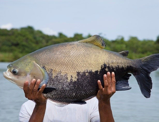  Pesca Deportiva, Coleo y Motociclismo en el Festival Internacional de la Cachama