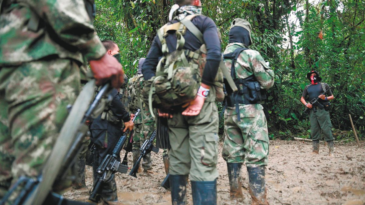 Alerta por reclutamiento y desplazamiento de menores por las Disidencias