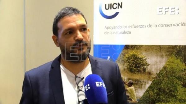 HONDURAS MEDIOAMBIENTE – Honduras necesita adherirse «lo más pronto» al Acuerdo de Escazú