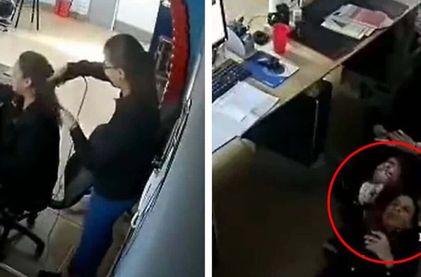  Por bajo rendimiento de empleados jefe instaló cámaras y descubrió que mantienen durmiendo