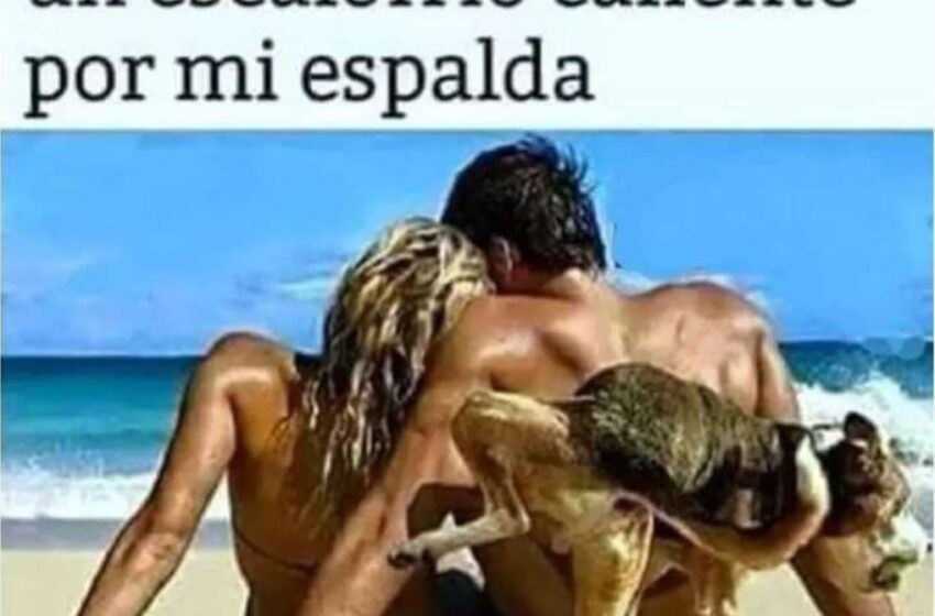  Un poco de Calor