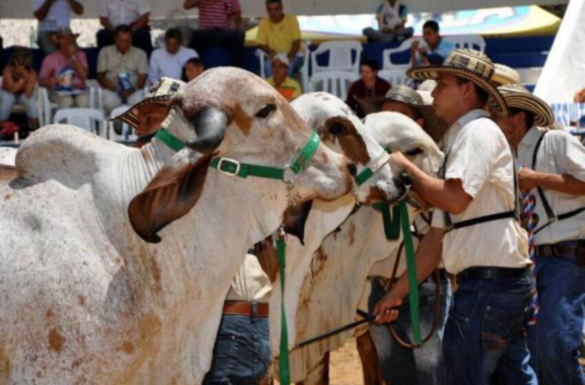  Feria Agroindustrial Malocas 2023 se realizará en noviembre.