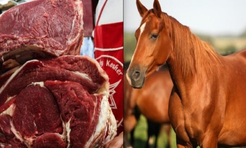  “Vendían caballo por carne de res”: Dos sujetos fueron capturados en flagrancia sacrificando los equinos