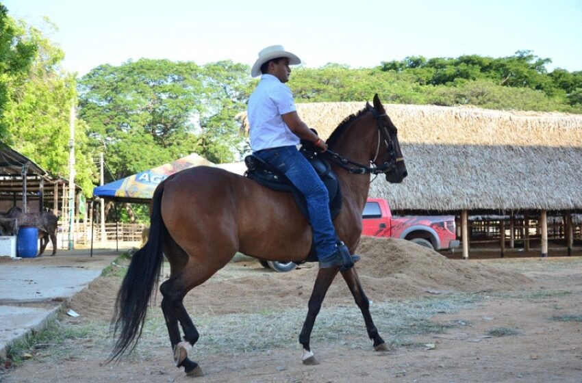  Cabalgata inaugural de Feria de Juzgamiento Equino categoría B esta tarde en Cumaral