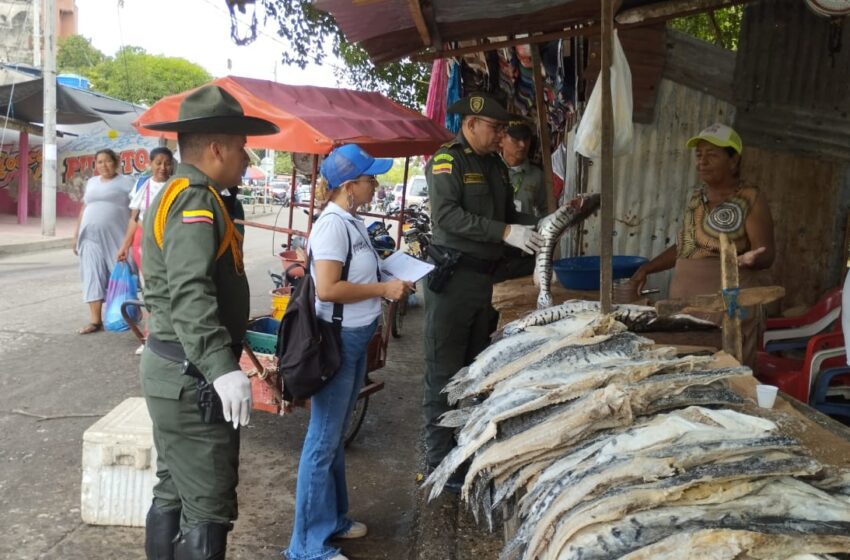  Fortalecen control sanitario a venta de pescados y mariscos