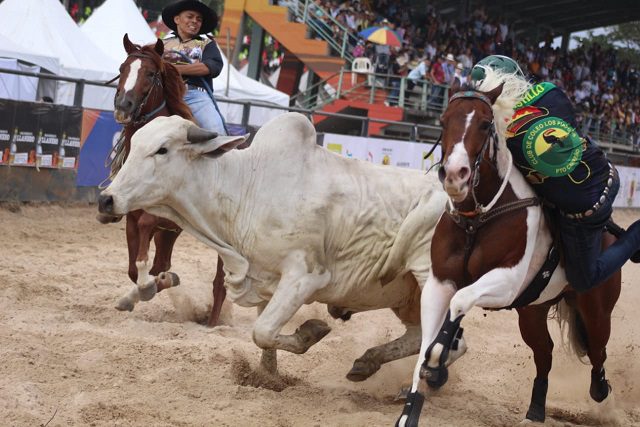  La Feria Agroindustrial, Equina y Bovina de Malocas será concertada con quien resulte electo nuevo Gobernador