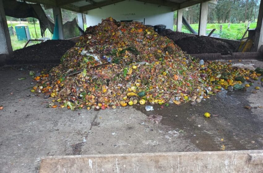  Ecopetrol y aliados transforman en abono residuos orgánicos y vegetales de su operación en Orinoquía