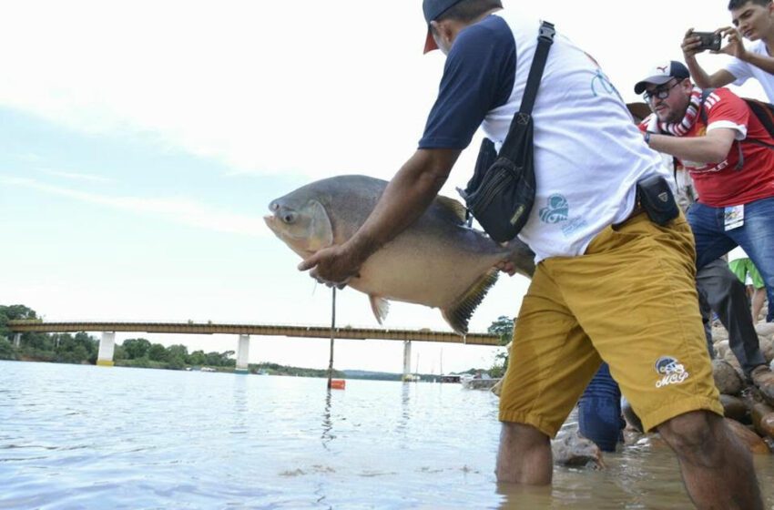  Mandatario solicitó refuerzos policiales para el Festival Internacional de la Cachama en Puerto Gaitán.