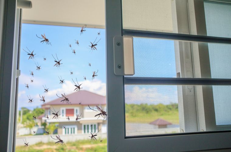  Pedagogía y sensibilización casa a casa contra el dengue
