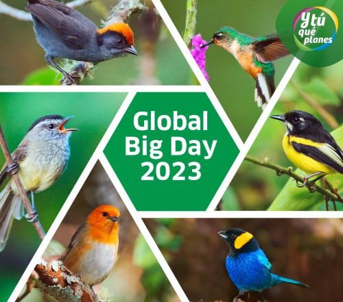  HOTEL ALCARAVÁN DE COLSUBSIDIO PROTAGONISTA DEL BIG GLOBAL DAY 2023