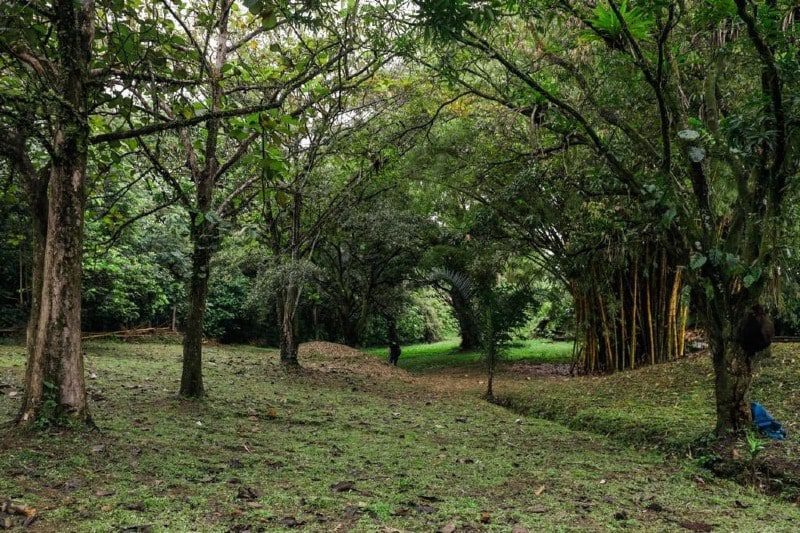  Programan visitas diurnas y nocturnas en el proyecto parque natural Metropolitano