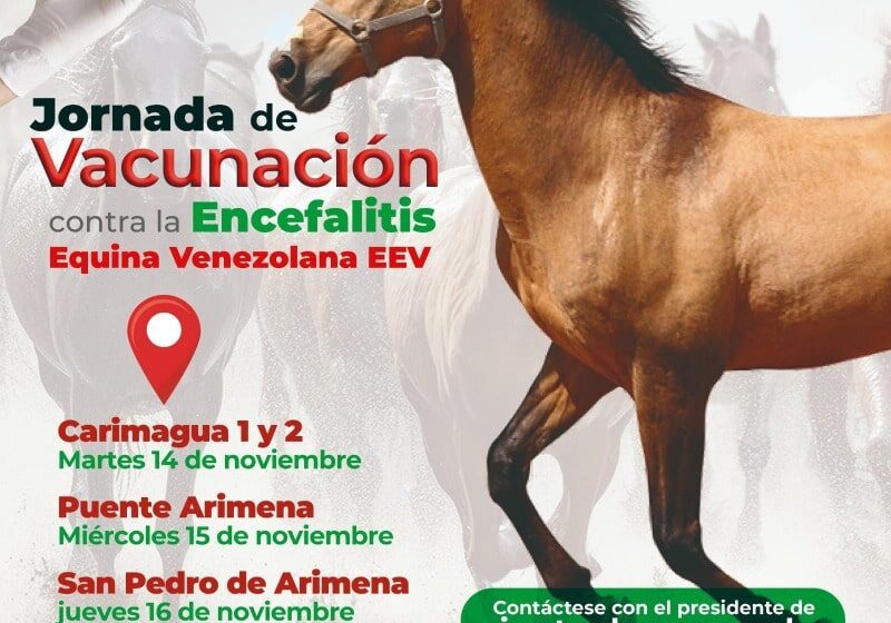  Jornadas de vacunación contra encefalitis Equina en Puerto Gaitán