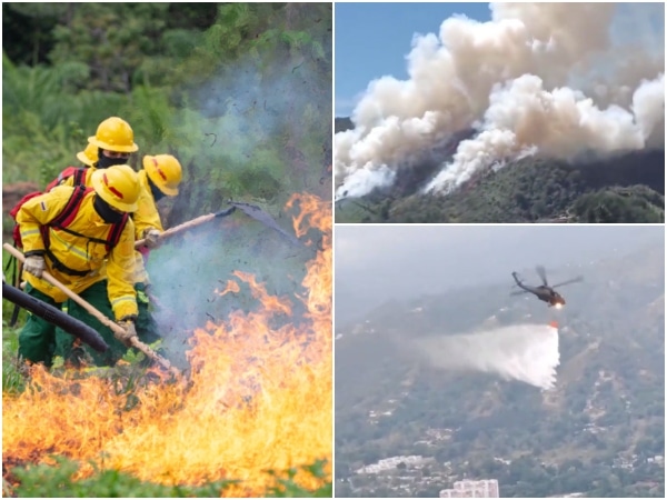  Incendios forestales en diferentes regiones del país
