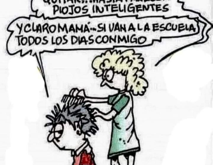  Piojos inteligentes 😁