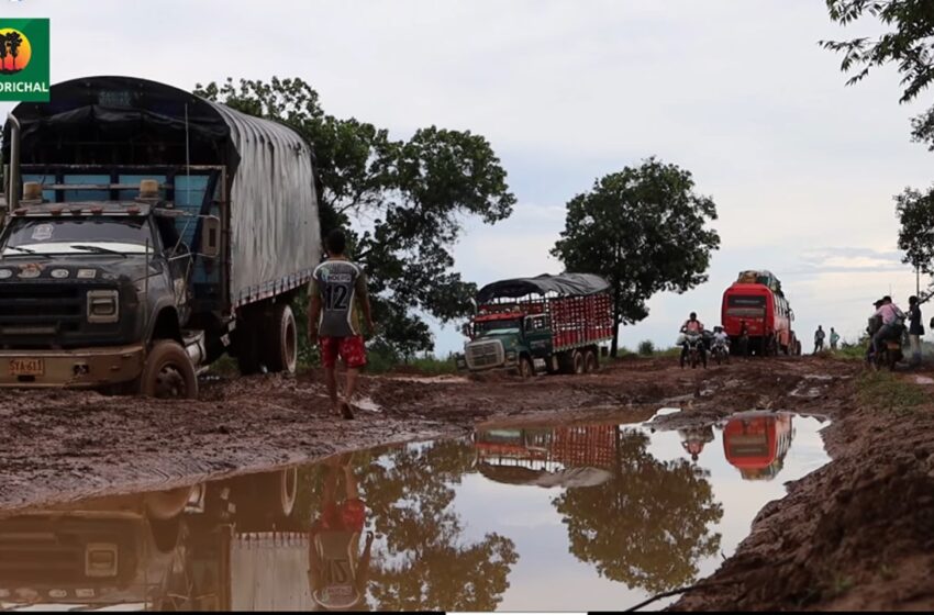  Transportadores enterrados en Vichada