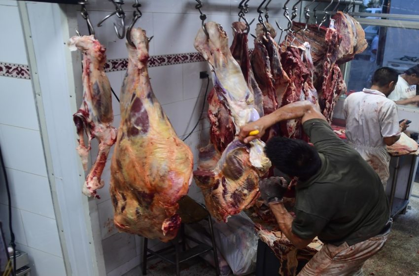  Sacrificaban caballos, asnos y vacas viejas, en matadero clandestino y luego distribuían la carne a proveedores del PAE, cárceles y plazas de mercado